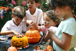 TURUNCU SİLİKON HALLOWEEN BALKABAĞI ŞEKİLLİ 3D KEK KALIBI - LEKUE (1)